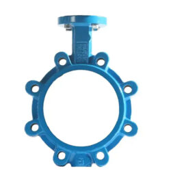Butterfly Valve Bodies